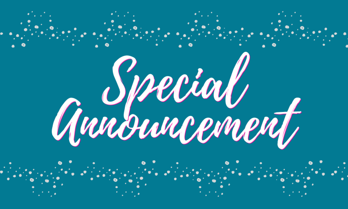 Interim Superintendent of Schools
