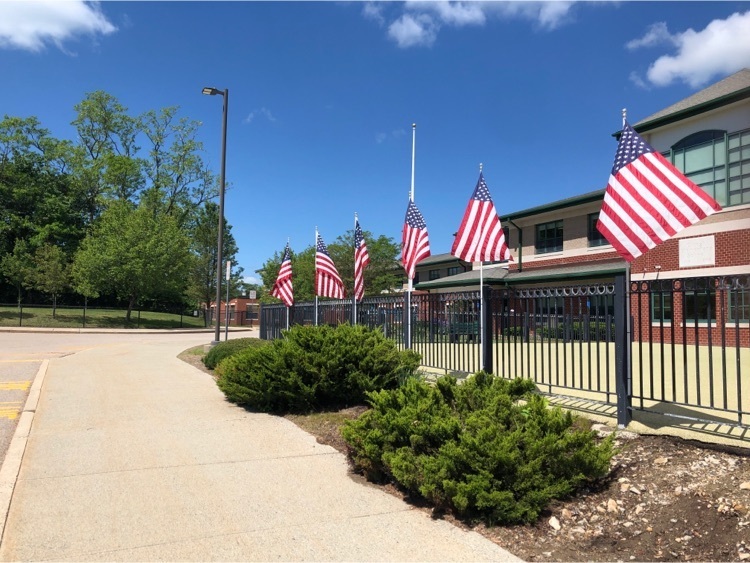 flags