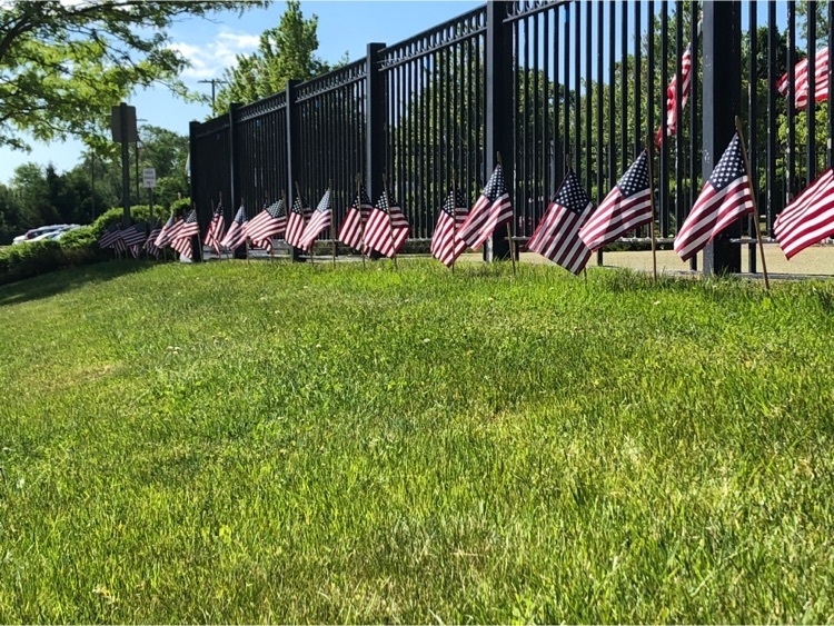 flags